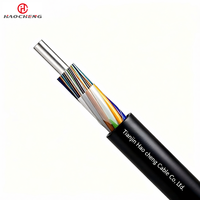 Cable de Fibra Óptica Subterráneo para Exteriores, Doble Cubierta, Doble Revestimiento, Blindado con Cinta de Acero, GYTY GYTA53 GYFTY53