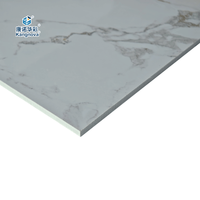 Panneaux PVC Minimalistes Weimeisu 5x8 5mm d'épaisseur, Étanche, Insonorisant, Certifié ENF pour Murs, Toilettes et Commerce