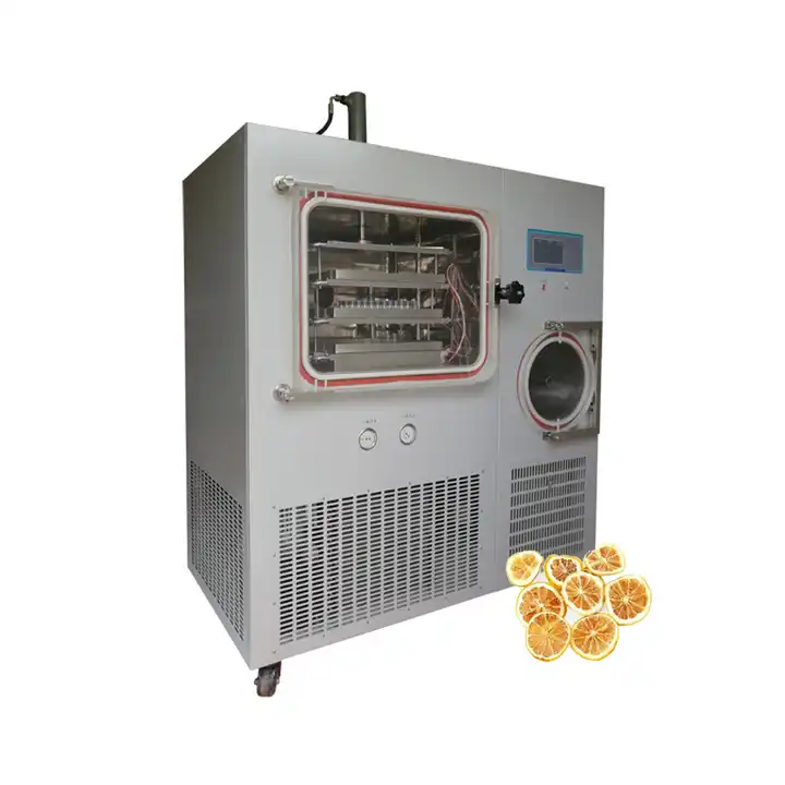 Small Machine Home Dryer Mini Food Vacuum Freeze Drying Machine