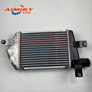 Refroidisseur intermédiaire, pour Mitsubishi Triton L200 MN135001 - Product Image 2