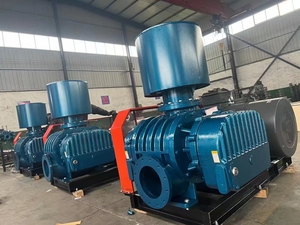 2024 High Pressure Cast Iron Stainless Steel Roots <strong>Blowers</strong> for Biogas <strong>Gas</strong> Separation 220V DC Electric Current OEM Customizable - Product Image 5