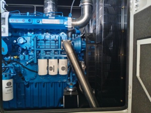 Cost Effective Portable 400kVA Soundproof <b>Generator</b> With Pure Copper Alternator for Outdoor Events - Product Image 2