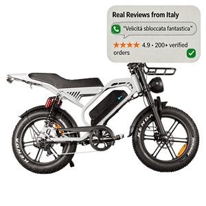 Vélo électrique QMHEEL S20 Pro, entrepôt Italie, Fat Bike avec batterie longue autonomie et porte-bagages arrière, pour chaînes de magasins et distributeurs. - Product Image 1