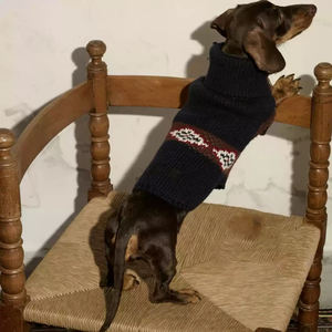 शैली के लिए पालतू कोट अद्वितीय डिजाइन व्यक्तिगत कुत्ते कोट को अनुकूलित करें - Product Image 3