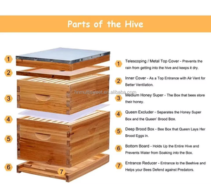Bee <span class=keywords><strong>Hive</strong></span> bán buôn bằng gỗ <span class=keywords><strong>langstroth</strong></span> tổ ong - Product Image 2