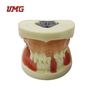 Modelo de Práctica de Implantes Dentales UMG UM-2003 con Encía Suave para Prácticas de Corte, Sutura e Implantes, Certificado CE - Product Image 2