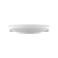 Luminaria de Techo LED de Emergencia OEM ODM, Impermeable IP65, LiFePO4, 3W, 3 Horas, Enchufe a Presión, Autoprueba, Versión CE UKCA RCM DALI