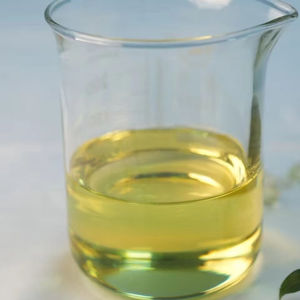 Óleo de Algas EPA em Pó Extrato Herbal de Alta Qualidade Grau Alimentício 40% Omega-3 Fonte Vegetal Enriquecido com Vitaminas Frasco/Lata/Tambor - Product Image 1