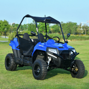 200cc nhỏ gọn thiết kế mới nhà máy <span class=keywords><strong>Buggy</strong></span> Drive trên cát đồi Off-Road 2 CHỖ NGỒI thiếu niên UTV - Product Image 1