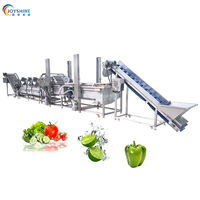 Commerciële salade sorteer-, was-, snij- en groente- en fruitwasmachine/groente- en fruitverwerkingslijn