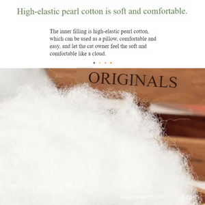 Giocattoli da Masticare Durevoli ed Ecologici a Forma di Cibo, Simulazione Realistica, Morbidi in Cotone con Catnip, Frutta con Suono Squittente per Cani e Gatti - Product Image 5