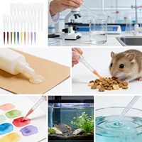Pipette compte-gouttes manuelle en PE de 3 ml, utilisée pour le transfert d'huiles essentielles, les expériences scientifiques, les travaux manuels et les outils de maquillage