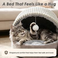 Coussin-caverne respirant pour chat, mignon, avec jouets, portable, pour chats d'intérieur, réversible, confortable, utilisable toute l'année, rembourrage doux en laine d'agneau, en boîte