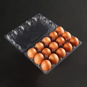 Common Style 15 Holes PET Transparent Duck Egg Carton Rectangular Plastic Pulp Moulding Egg Tray