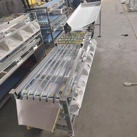 Jiayang Hot Sell Blauwe Bes Sorteermachine, Fruit Sorteermachine, Walnoot Sorteermachine, Knoflook Sorteermachine
