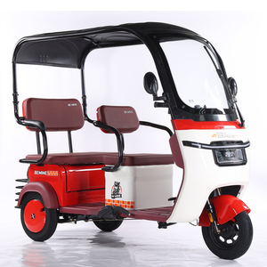 New Design 800W Electric Trike 32km/h Speed 60V Open Electric Tricycle <strong>Three</strong> <strong>Wheeled</strong> <strong>Adult</strong> <strong>Bike</strong> - Product Image 2
