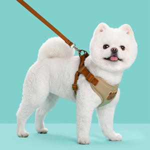 Imbracatura e Guinzaglio in Poliestere per <span class=keywords><strong>Cani</strong></span> di Piccola e Media Taglia - Pettorina <span class=keywords><strong>da</strong></span> Passeggio con Catena Teddy - Product Image 4