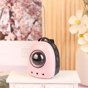 Portachiavi Zaino per Gatti in Miniatura in Plastica, Modellino Giocattolo Fai-da-Te, Modello Spaziale - Product Image 3