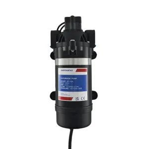 Ranking DP-160A 230V 160psi 5.1LPM AC Self Priming Booster Electric Water Pump High pressure For Agriculture Spray