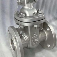 Katup Gerbang Baja Tahan Karat Langsung dari Pabrik 304 316 CF8M 4 Inch DN100 Kelas 300 Flanged Rising Stem Tersedia di Stok