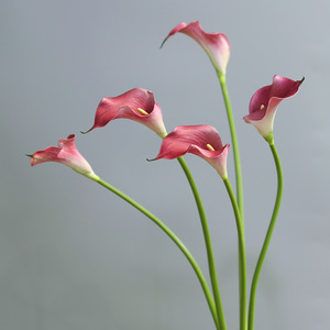 Fleur artificielle de lys calla en PVC souple, tige moyenne longue, décoration d'intérieur - Product Image 2