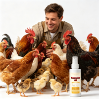 Aide respiratoire pour volailles : Complément pour poulets aux fruits, absorption rapide pour les éternuements, la toux et le soulagement nasal, sûr pour toutes les aves.