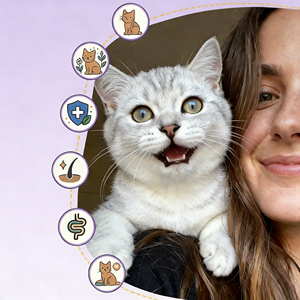 Complément alimentaire pour chats et chiens contre les allergies, absorption rapide, sûr, soulage les allergies saisonnières, renforce l'immunité, soulage efficacement les démangeaisons cutanées. - Product Image 4