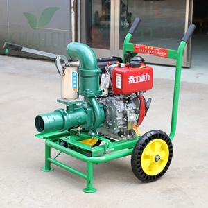 Bomba de <span class=keywords><strong>Agua</strong></span> para Riego Agrícola en Oferta, Bomba de <span class=keywords><strong>Agua</strong></span> con Motor Diésel de 15 HP para Sistema de Riego por Aspersión con Cañón de <span class=keywords><strong>Agua</strong></span> - Product Image 2