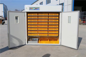 Incubadora Industrial Automática para 1000-100000 Huevos de Gallina, Nueva Máquina de Incubación de 220V para Huevos de Avestruz y Pavo - Product Image 4