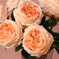 Rose artificielle Austin de haute qualité, faite à la main, toucher réaliste, en latex, couleur champagne bleu, tige unique, rose artificielle réaliste