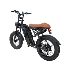 Bicicleta Eléctrica con Cuadro Hueco y Neumáticos Anchos, Batería Externa de Litio de 48V, Estilo Retro Urbano, Modelo CS-M4, Motor sin Escobillas de 750W, Disponible en EE. UU. - Product Image 6