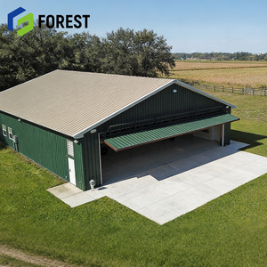 Hangar d'avion en structure acier industrielle de haute qualité, ignifuge, pour l'aviation, approvisionnement mondial - Product Image 1