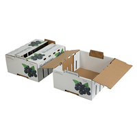 Boîtes à pamplemousses en carton ondulé ventilé pour l'emballage de raisins frais, chaîne du froid, exportation, stockage, anti-écrasement, emballage de fruits