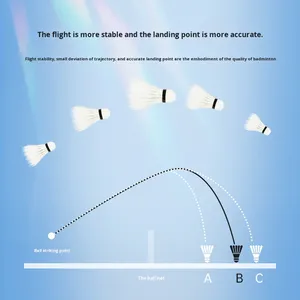 Volant de <span class=keywords><strong>Badminton</strong></span> d'entraînement de compétition professionnelle super durable Double plume d'oie de poisson atterrissage précis véritable navire amiral - Product Image 6