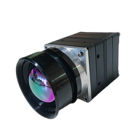 Mini caméra thermique analogique 384x640 CVBS avec SDK réseau et garantie d'un an