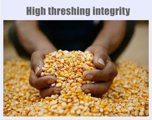 Descascaradora <span class=keywords><strong>El</strong></span>éctrica Multifuncional para Avena y Frijoles, Descascaradora de Soja, Habas, Sorgo, Maíz y Trigo Sarraceno - Product Image 5