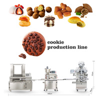 Ligne de production de biscuits aux pépites de chocolat YC-170-2, poids réglable de 10 à 180 g, 20 à 120 pièces/min, acier 304, contrôle par écran tactile, moules remplaçables