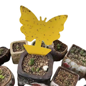 Pièges collants jaunes non toxiques en gros pour mouches des fruits et moucherons, en forme de fleurs et d'oiseaux - Product Image 1