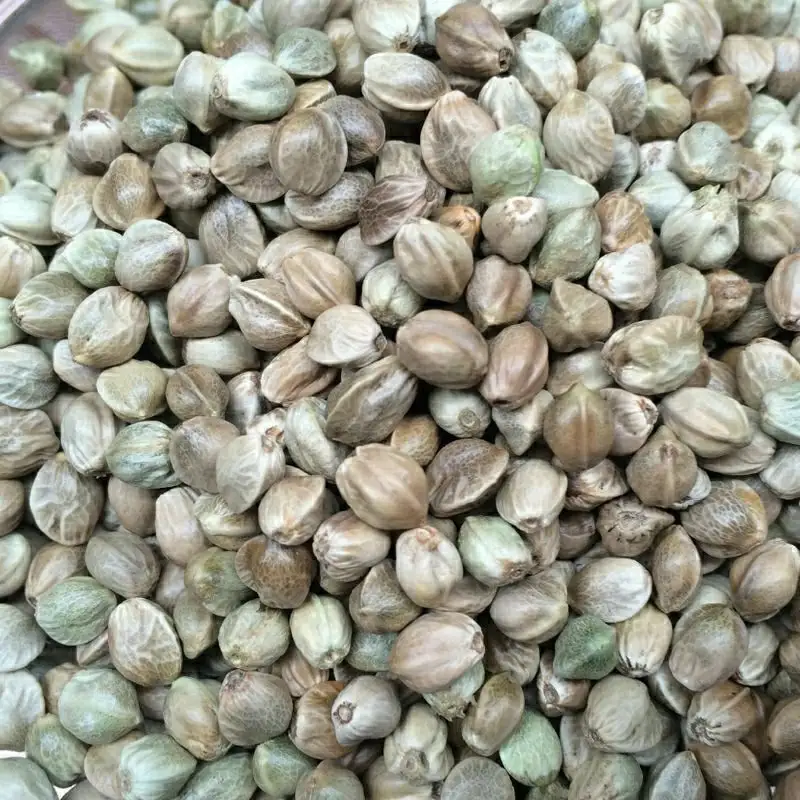 Animal Feed Grain Chinese Hemp Seeds For Bird Feed