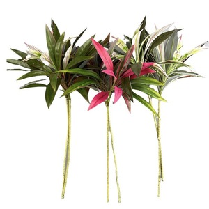 Planta Artificial de Dracaena Realista de 80 cm, <span class=keywords><strong>Hojas</strong></span> de Látex Arcoíris, Planta de Hierro para Decoración de Interiores y Exteriores, <span class=keywords><strong>Precio</strong></span> al por Mayor - Product Image 5