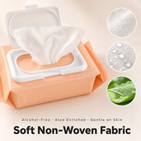 Lingettes démaquillantes nettoyantes en profondeur, format voyage, taille personnalisée, non-tissées, sans alcool, douces, OEM