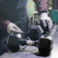 Nantong Fitness Gym 20 Lb Hex Dumbbells Sepasang 15 kg Karet & Logam Anti-Selip Logo Kustom Untuk Penggunaan di Rumah Latihan Otot Lengan