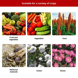 유기 엽록소 아미노산 액체 비료 묘목 강화 녹색 향상 야채 과일의 품질 향상 - Product Image 3