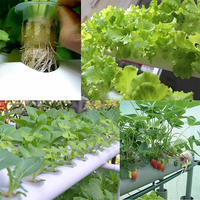 108 sites de plantes Kit de culture hydroponique Culture de l'eau Système de plantes de jardin Légumes à feuilles Laitue Herbe Système de culture hydroponique