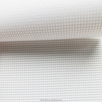 250GSM 350GSM 1100DTEX 12*12 nouvelle technologie matériaux vinyle PVC enduit polyester maille dans la doublure pour la publicité à jet d'encre