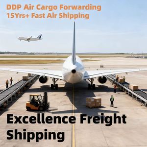 Agente de Transporte Aéreo, Transitario desde China, Shenzhen, Ningbo, Wenzhou, DDP, Puerta a Puerta, Entrega Exprés FedEx a Thames Levin - Product Image 6