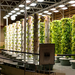 NUEVO Sistema de Jardín Vertical Hidropónico y Acuapónico Ecológico, Kit de Cultivo Interior con Bomba, 5/7/9 Niveles, Material ABS Resistente, 4 Años de Garantía - Product Image 3