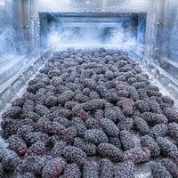 Graad A Halal IQF Diepvries Mulberiën Groothandel |   100% natuurlijke, verse, diepvries hele zwarte moerbeien voor sap, smoothies & jam