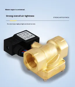 Tốt Nghề Thủ Công 0927 Loạt Hai Vị Trí Hai Cách Thí điểm Loại Bình Thường Đóng Loại Cơ hoành Solenoid 1/2 Brass Solenoid Valve - Product Image 5