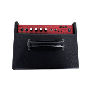 AIERKE EWAVE-Amplificador de bajos de 30W, construcción duradera para concierto para fagot, para jugadores de fagot - Product Image 3